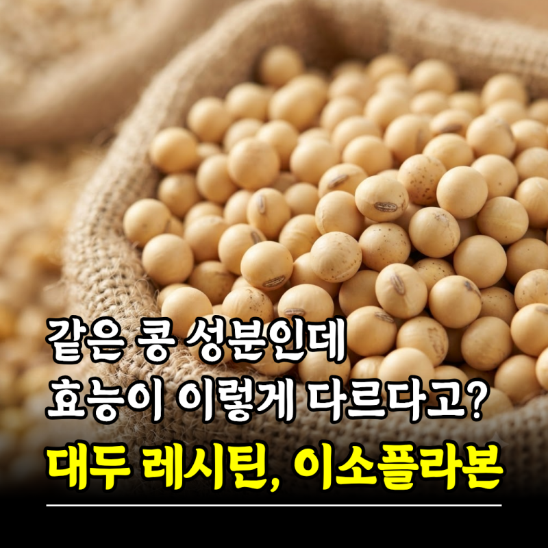 같은 콩 성분인데 효능이 다르다고? 대두레시틴 대두이소플라본