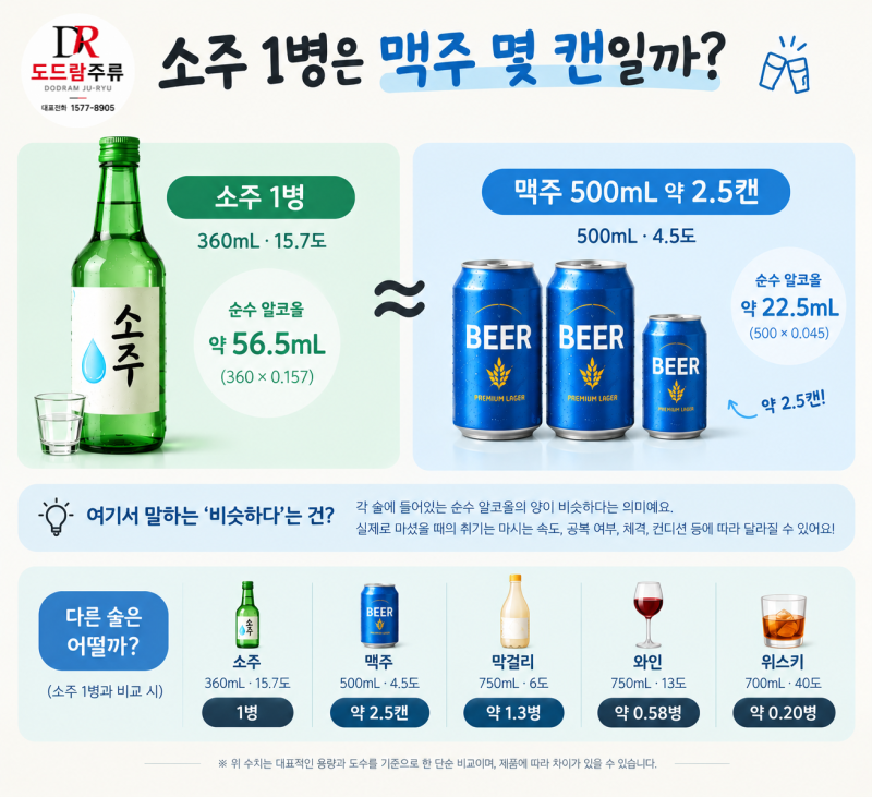 소주 1병은 맥주 몇 캔일까? 술 종류별 알코올 함량 비교