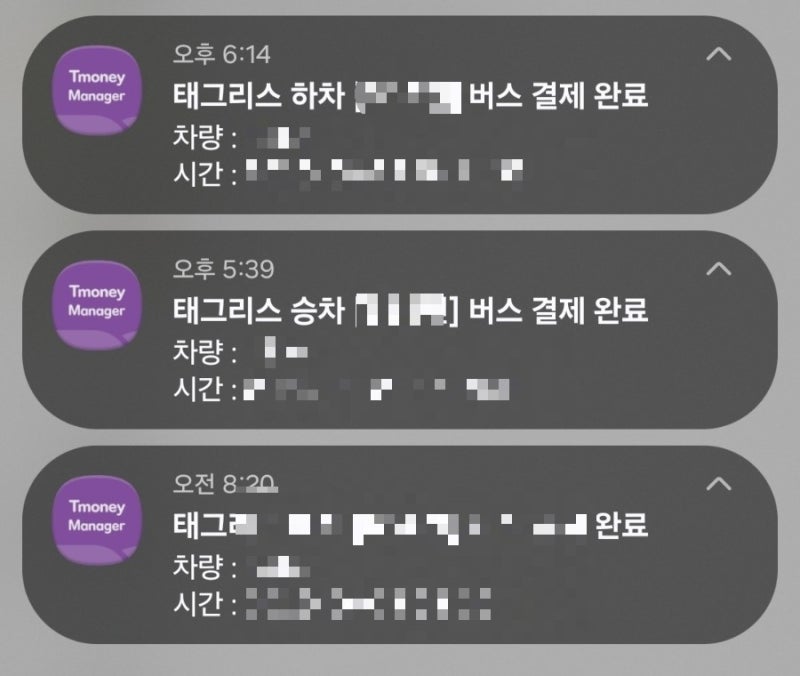 [교통비 절약 꿀팁/모바일 티머니 태그 리스] 1주 실사용 후기 |