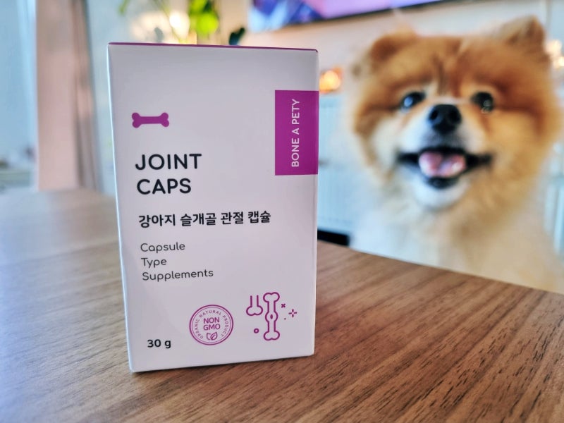 강아지 슬개골 영양제 본아페티 조인트캡스 직접 급여해본 후기
