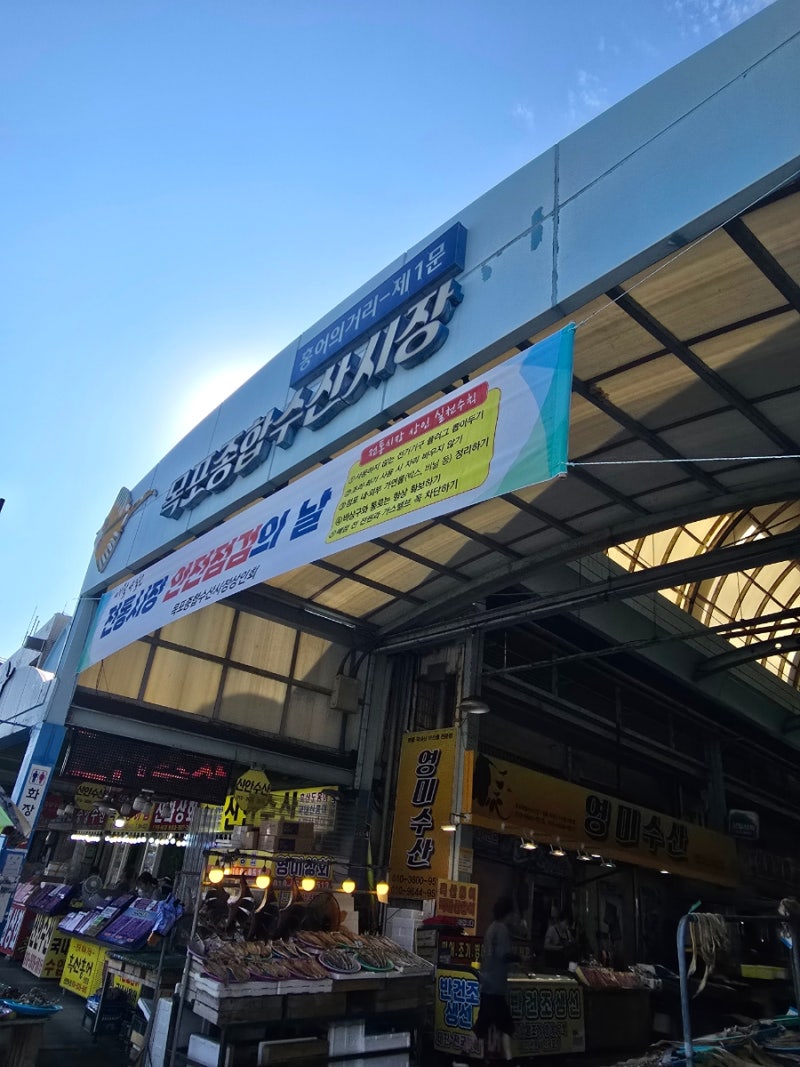 Jeonnam Mokpo Travel: Review of Mokpo Comprehensive Fisheries Market (Hongeo, Dried Seafood) and Live Fish Market (Octopus)
