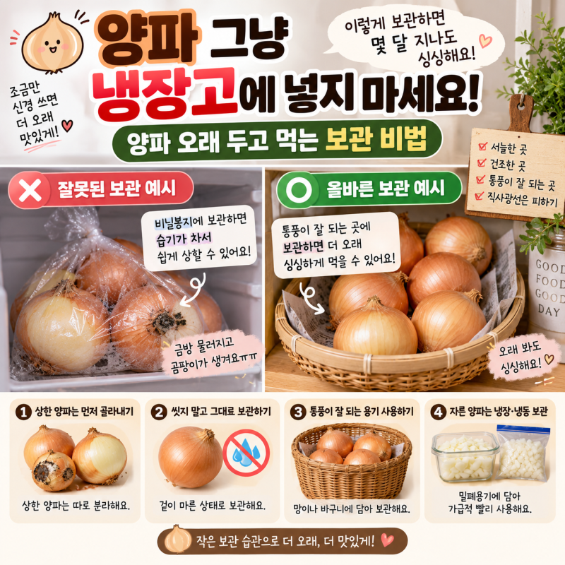 “양파 그냥 냉장고에 넣지 마세요” 오래 두고 먹는 보관 비법