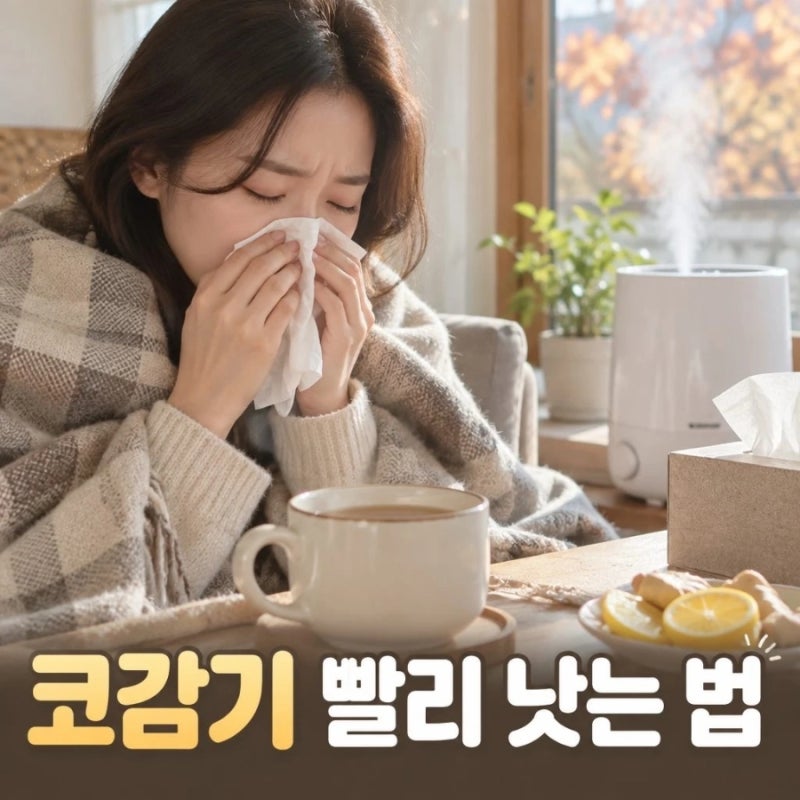 환절기 코감기 빨리 낫는 법, 일상에서 꼭 지켜야 할 5가지