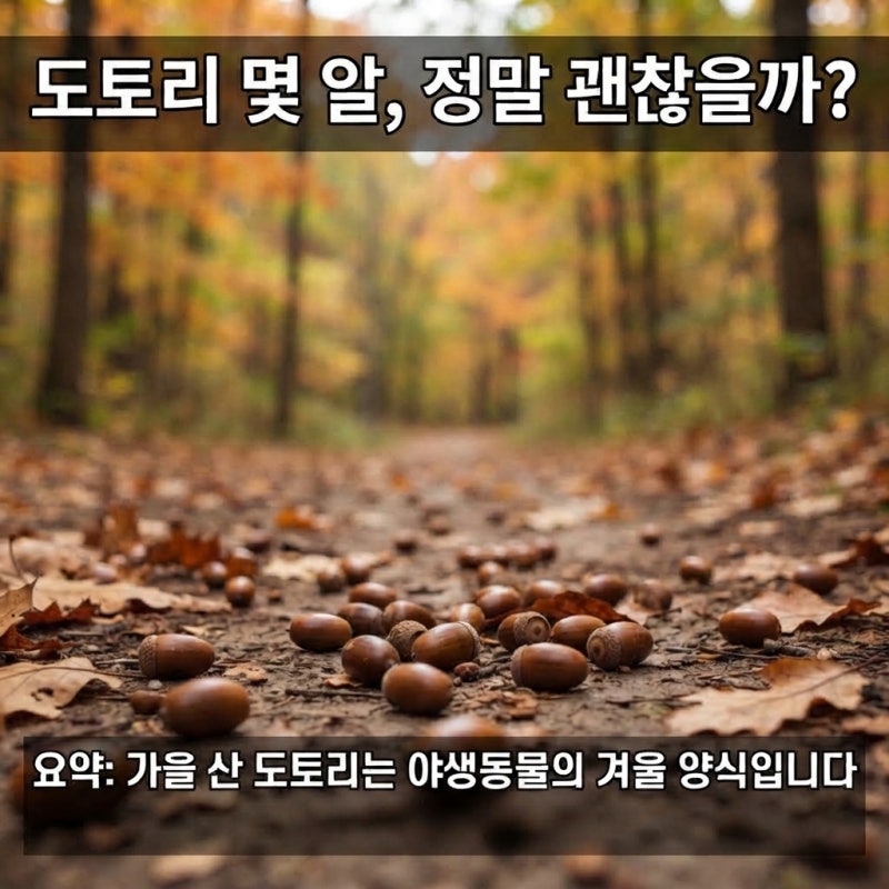 도토리 줍기 불법? 다람쥐 말고 도토리로 겨울 나는 동물 6가지와 단속 이유