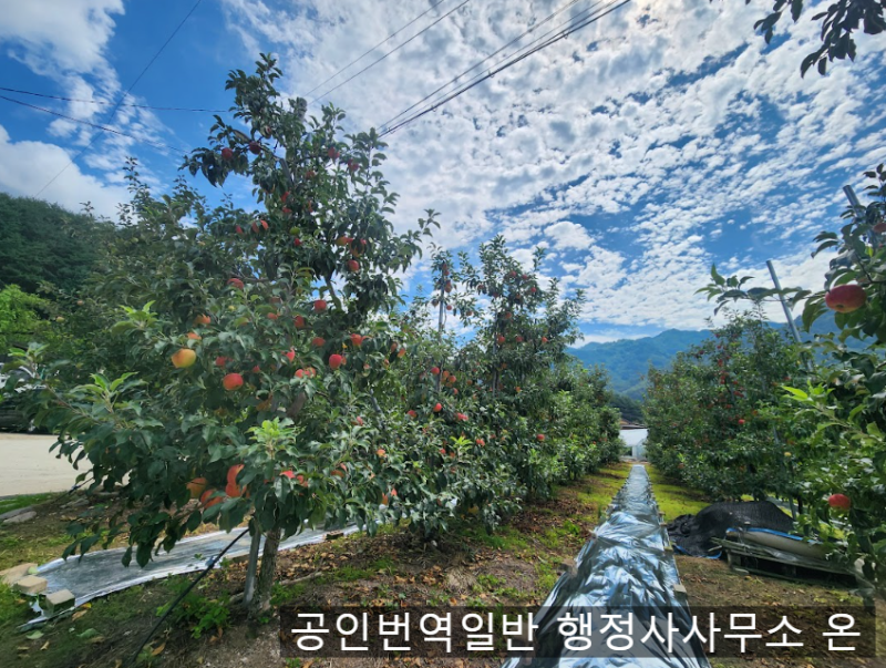 [강원도 인제] 가볼만한곳 & 인제 맛집! 행정사의 워크숍 (feat. 스피디움, 막국수, 지역상품권 ....