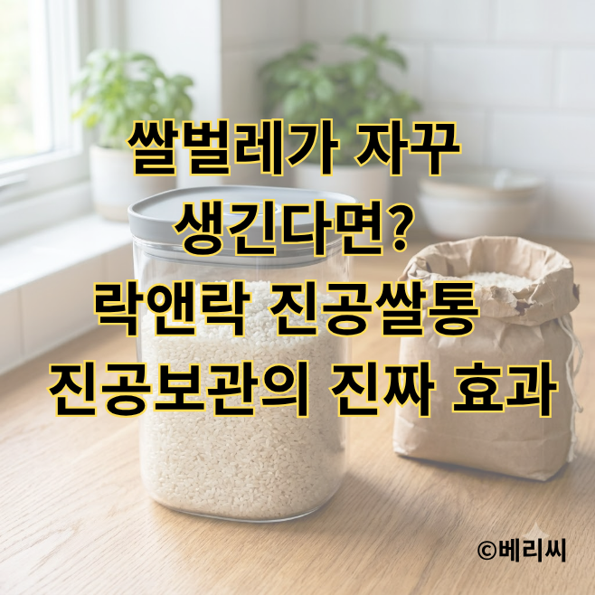 쌀벌레가 자꾸 생긴다면? 락앤락 진공쌀통 써보니, 진공보관의 진짜 효과