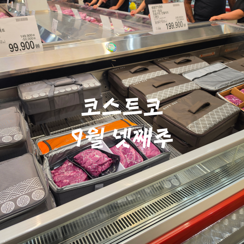 코스트코 9월 넷째주 세일 신상 할인정보 (ft. 대구점)