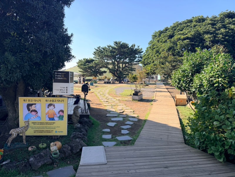 애월 | 새별프랜즈 | 제주도 아이랑 꼭 들러야 하는 곳!