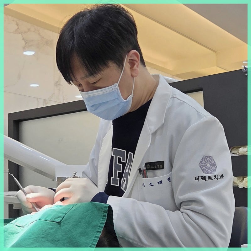 지르코니아 크라운 금액 적정선? 골드, PFM 등 차이는?
