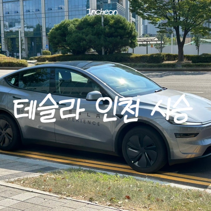 테슬라 모델Y 시승신청 인천 서비스센터 시승방법 예약 자율주행 FSD