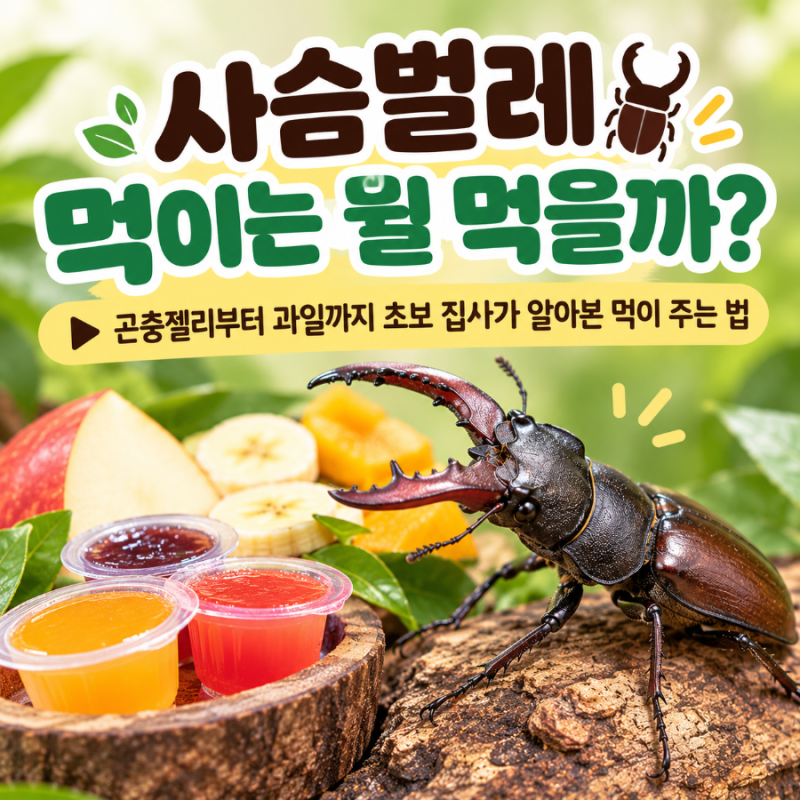 사슴벌레 먹이는 뭘 먹을까?▶️ 곤충젤리부터 과일까지 초보 집사가 알아본 먹이 주는 법