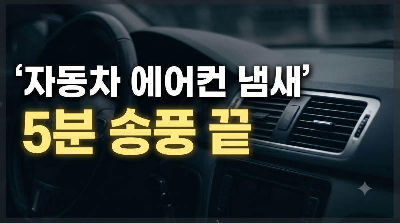 가을 환절기 자동차 에어컨 냄새 송풍 관리로 잡은 방법
