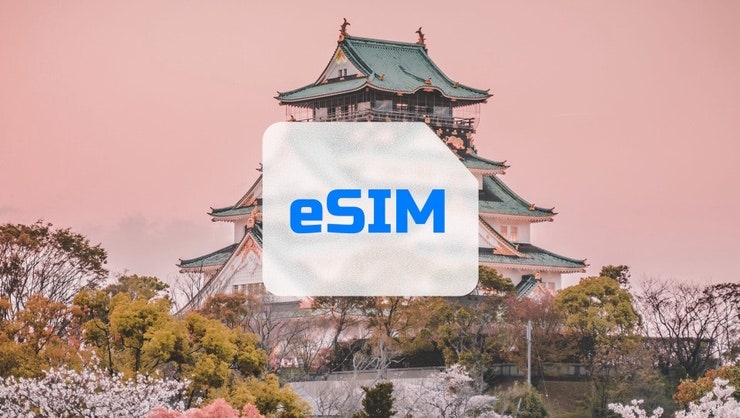 돌아기와 2박3일 일본여행 준비. 2일짜리 eSIM으로 충분했던 이유, 여행자보험 가격비교 후기