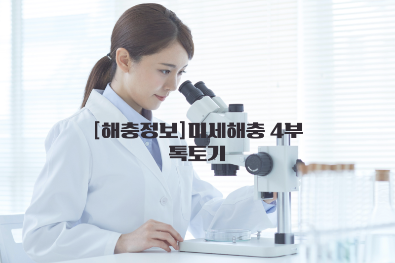 해충정보-미세해충[4부]톡토기, 화분에서 작은 벌레들이 톡톡톡?