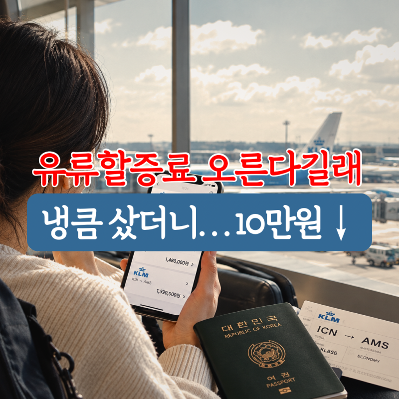 항공권구매시기 6개월 전이 싸다!? 유류할증료는 노상관이었다