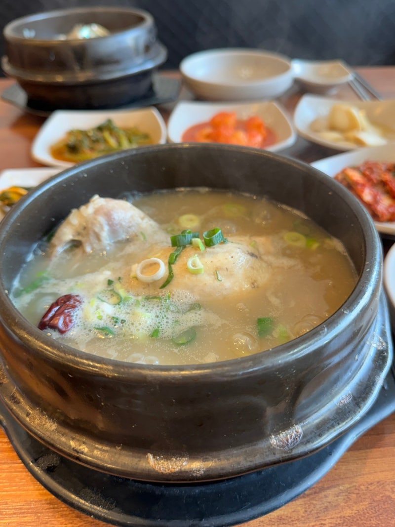 광주 삼계탕 몸보신 보양식 맛집 이영미궁중한방삼계탕 용봉본점