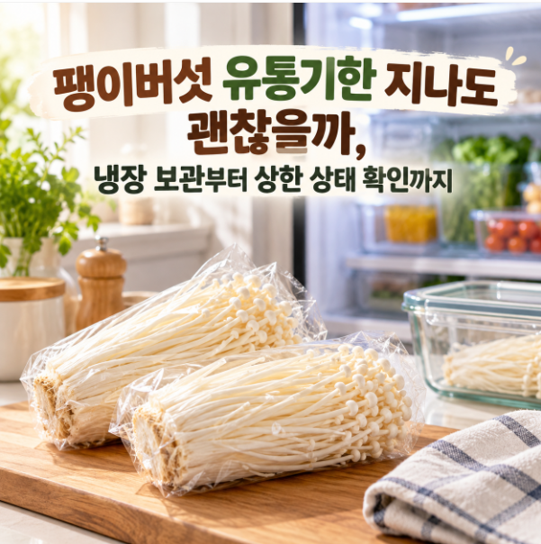 팽이버섯 유통기한 지나도 괜찮을까, 냉장 보관부터 상한 상태 확인까지