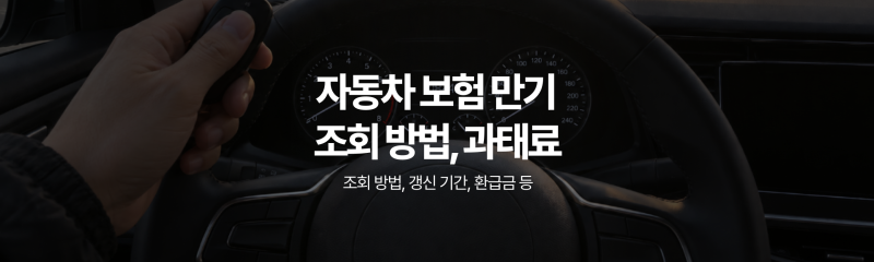 자동차 보험 만기일 과태료, 하루만 지나도 나올까? 조회, 갱신 기간, 환급금까지