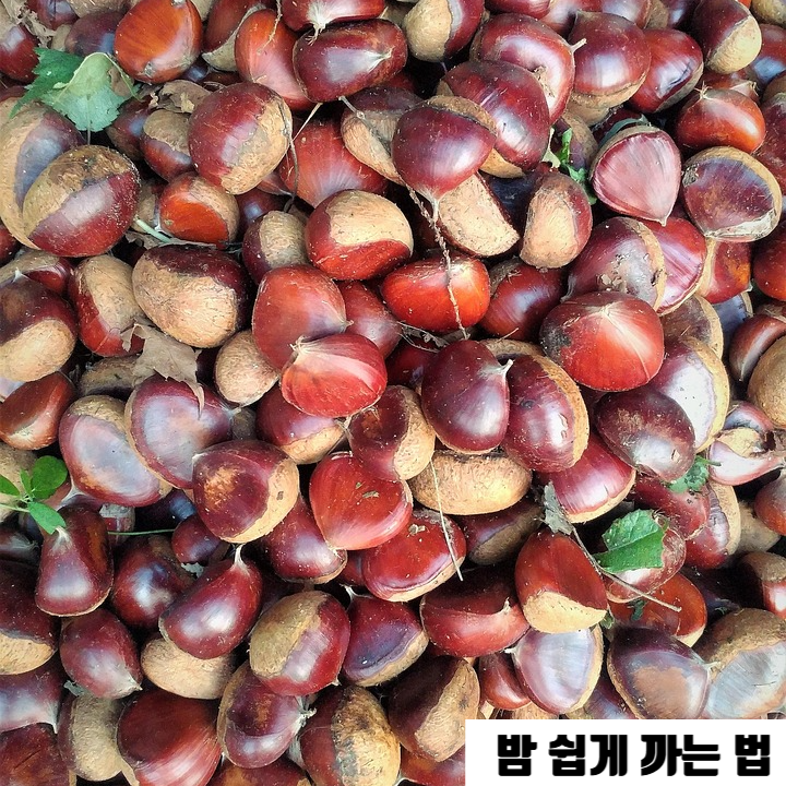 껍질 쉽게 까는 완벽 꿀팁_밤 삶는 법