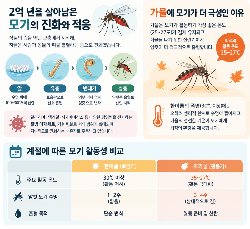 가을 모기 왜 이렇게 많을까? 잘 물리는 이유와 집 안 모기 차단법