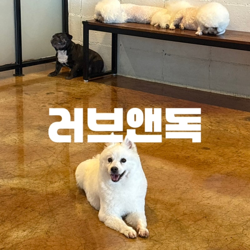 [진해] BBQ도 되는 애견카페 러브앤독