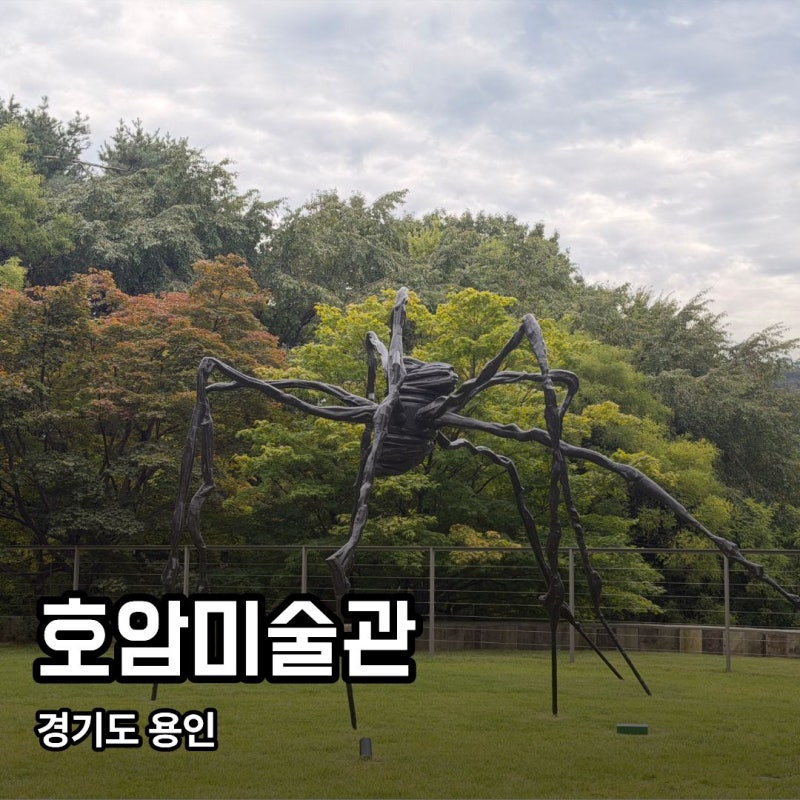 [용인] 호암미술관｜가을에 가기 좋은 미술관, 단풍명소 산책 명소, 주차요금 정보