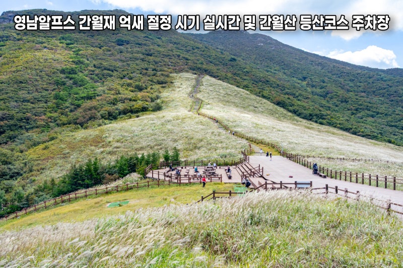 영남알프스 간월재 억새 절정시기와 실시간 및 간월산 등산코스 주차장