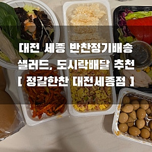 대전 세종 반찬정기배송, 반찬배달, 대전 세종 샐러드, 도시락배달 추천 [ 정갈한찬 대전세종....