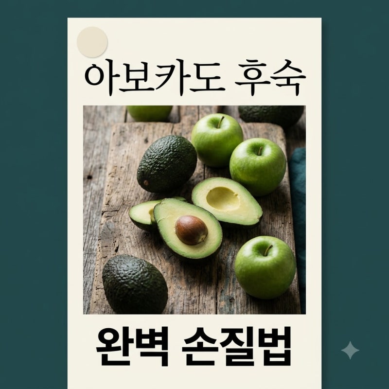 돌처럼 딱딱한 아보카도 후숙, 봉투에 '이것' 넣었더니 48시간 만에..