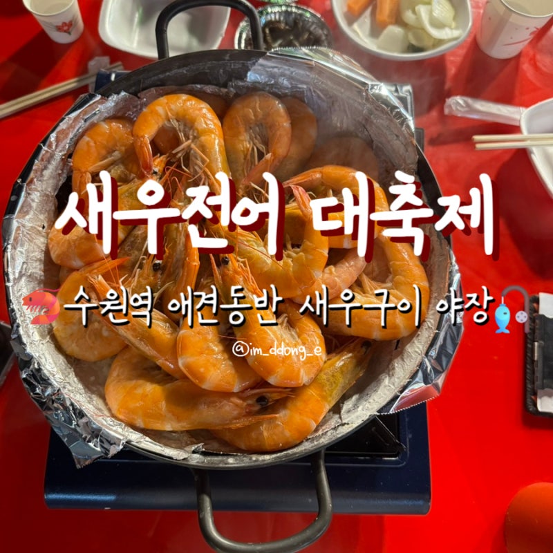 [수원] 새우전어대축제 수원세무서_수원역 애견동반 새우구이 야장