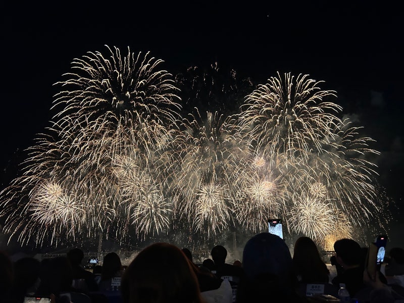 [가을 여행 추천] 가장 오래 기억하고 싶은 가을 순간! 부산불꽃축제 레전드 후기 & 일본 아리....
