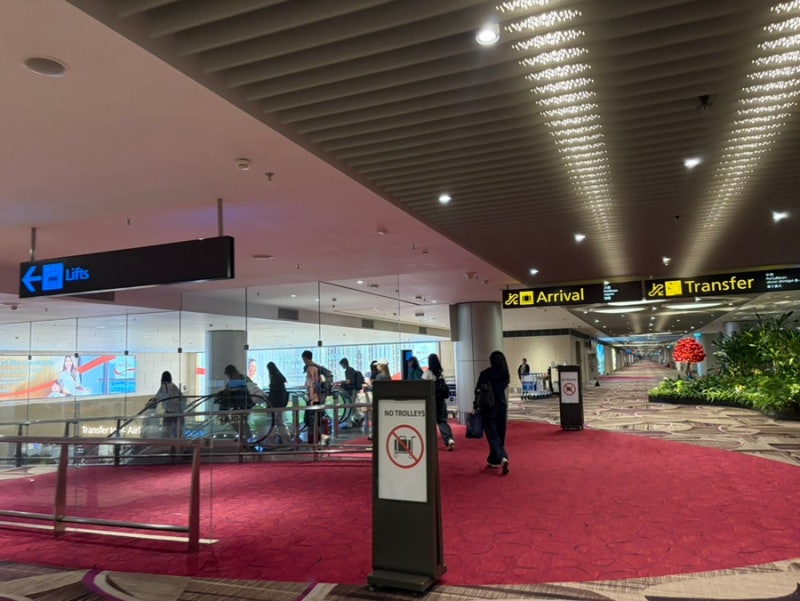 싱가포르 입국 전 알아야 할 정보｜창이공항 도착부터 호텔 이동까지