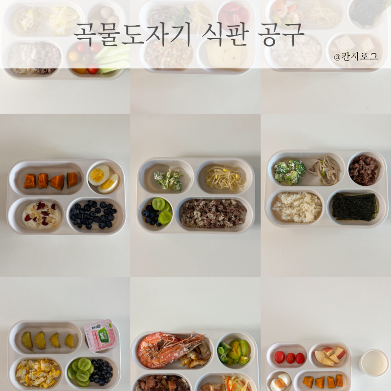 자연동화 곡물도자기 식판 공구 8개월 사용 후기