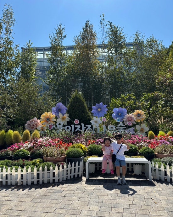 용인 자작나무숲 가을꽃축제, 핑크뮬리,아이와 함께 다녀온 가족 가을 나들이 장소 추천!