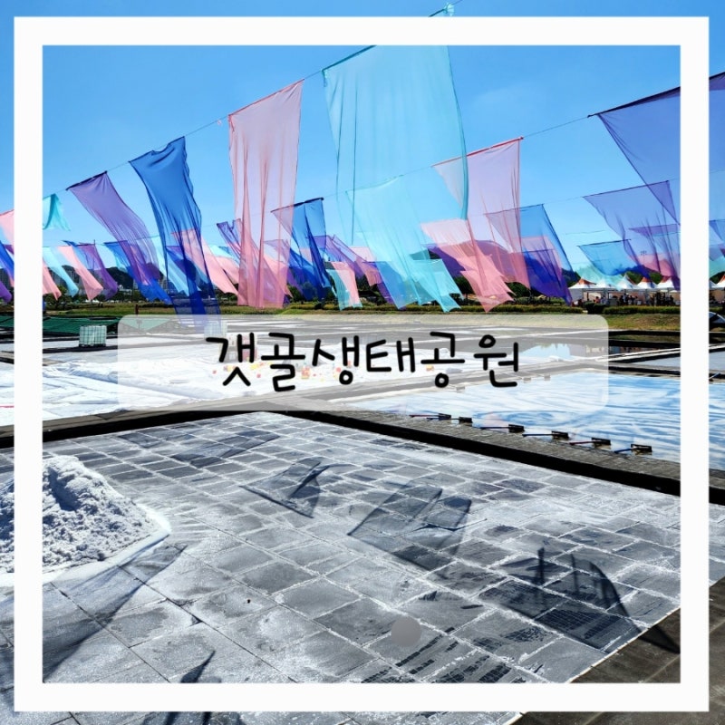 시흥 아이와가볼만한곳 갯골생태공원 시흥갯골축제 갯골탐험대 후기 염전 소금천 추석연휴....