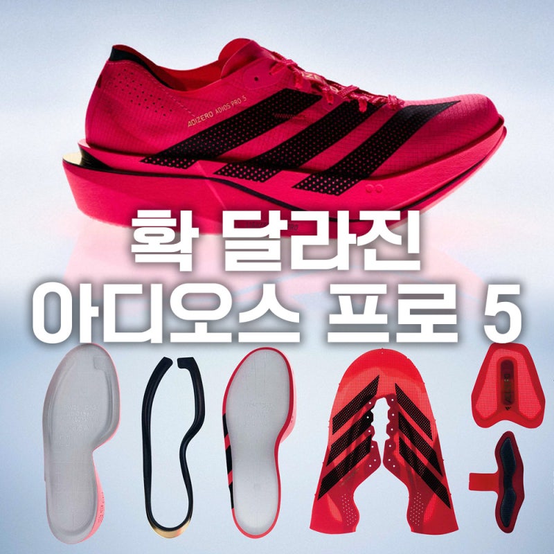 아디다스 아디오스 프로 5 출시. 30만원을 뚫어버린 진짜 이유