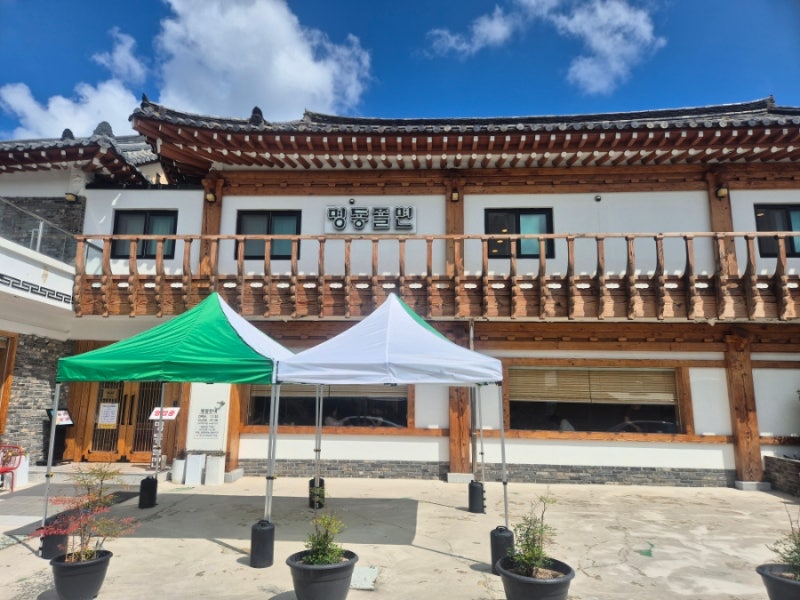 경주 맛집, 박용자 경주 명동쫄면(불국점) NN번째 방문 후기