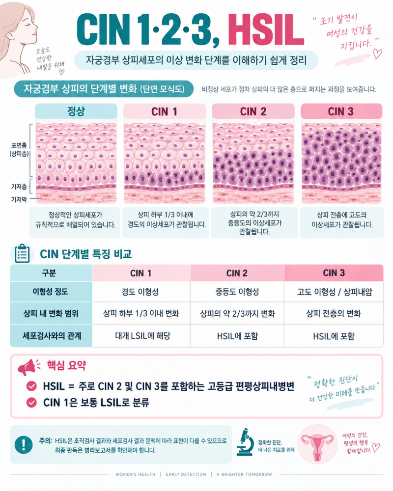 자궁경부 CIN·제자리암, 무엇으로 ‘진단확정’되는가?_Prepared by 서호석손해사정사