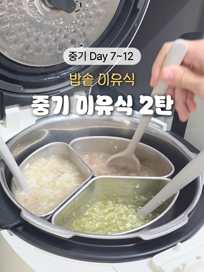 중기 밥솥이유식 레시피 2탄! 양배추 양파 시금치 새송이 감자 애호박 브로콜리 현미