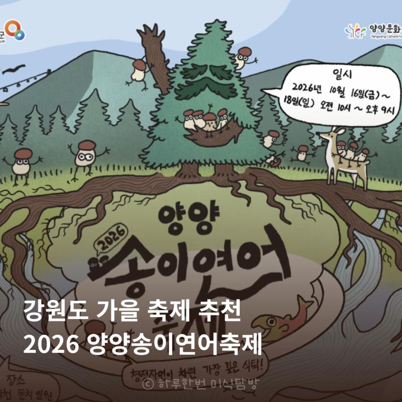 2026 양양송이연어축제 일정 강원도 가을축제 추천