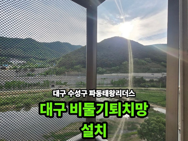 대구비둘기퇴치업체 베란다 오염과 재유입을 줄이는 가로세로홈케어 시공 안내