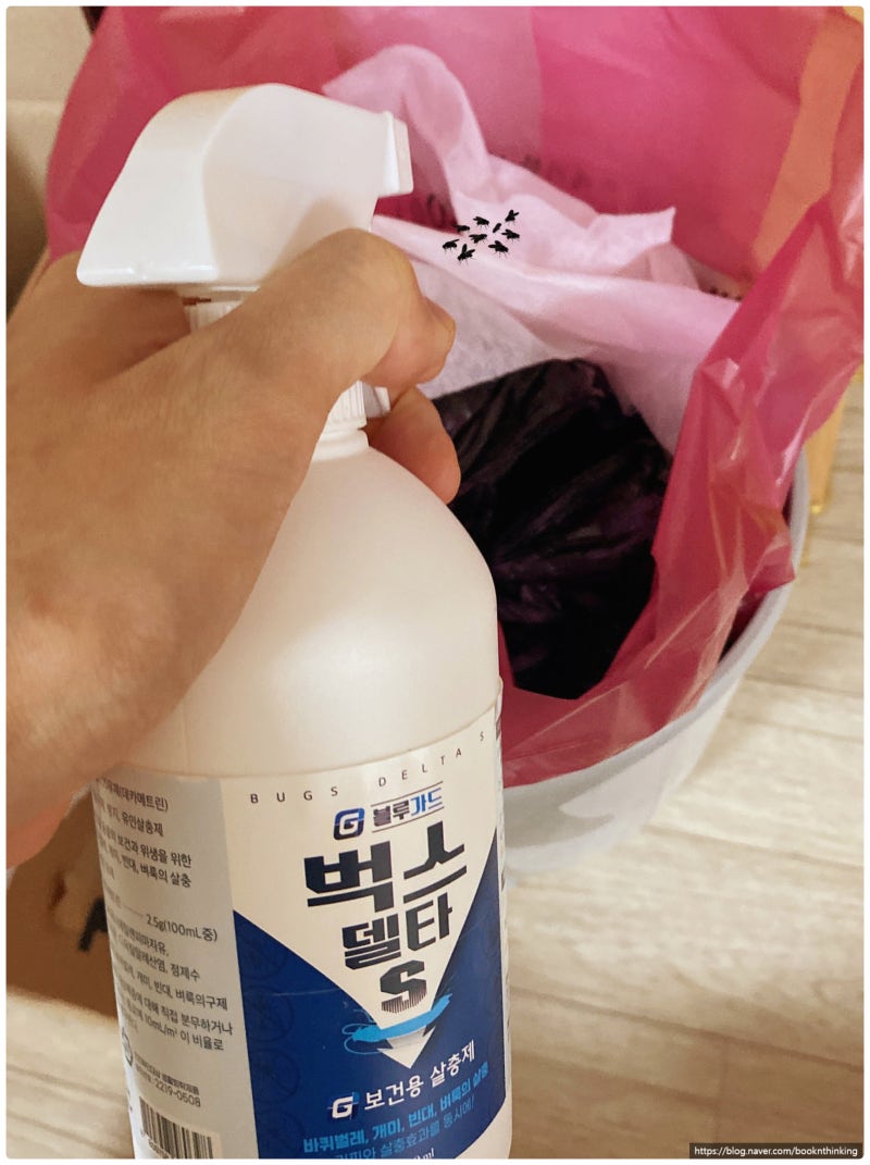 주방 초파리 없애는 법, 트랩부터 만들면 안 되는 이유