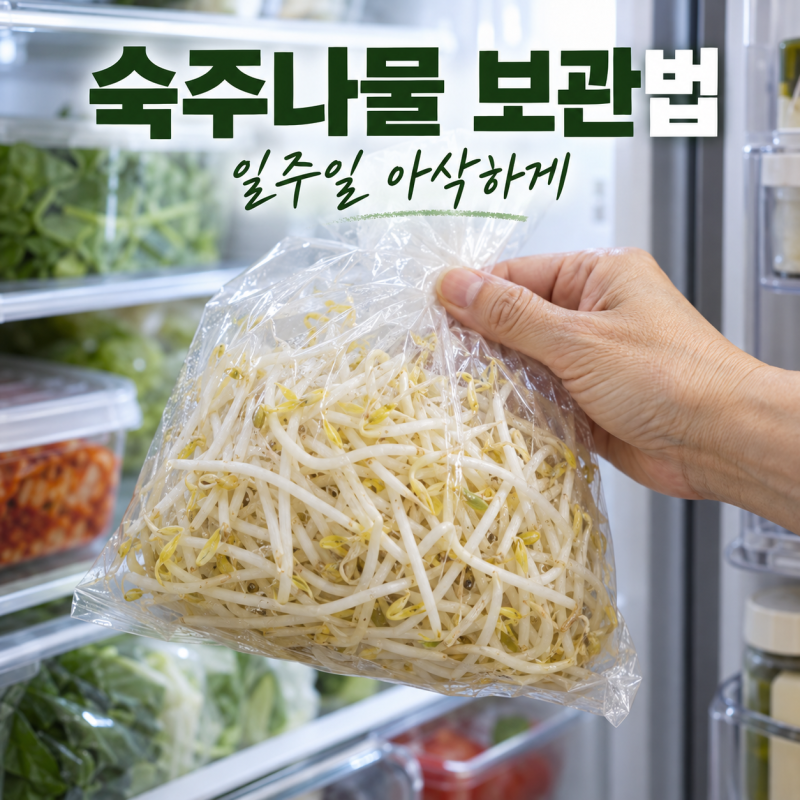 숙주나물 보관법, 추석에 남은 숙주 버리지 마세요! 일주일 아삭하게