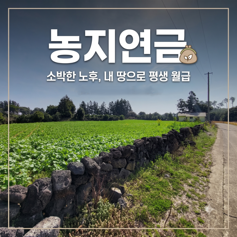농지연금 가입조건 및 수령액 총정리!