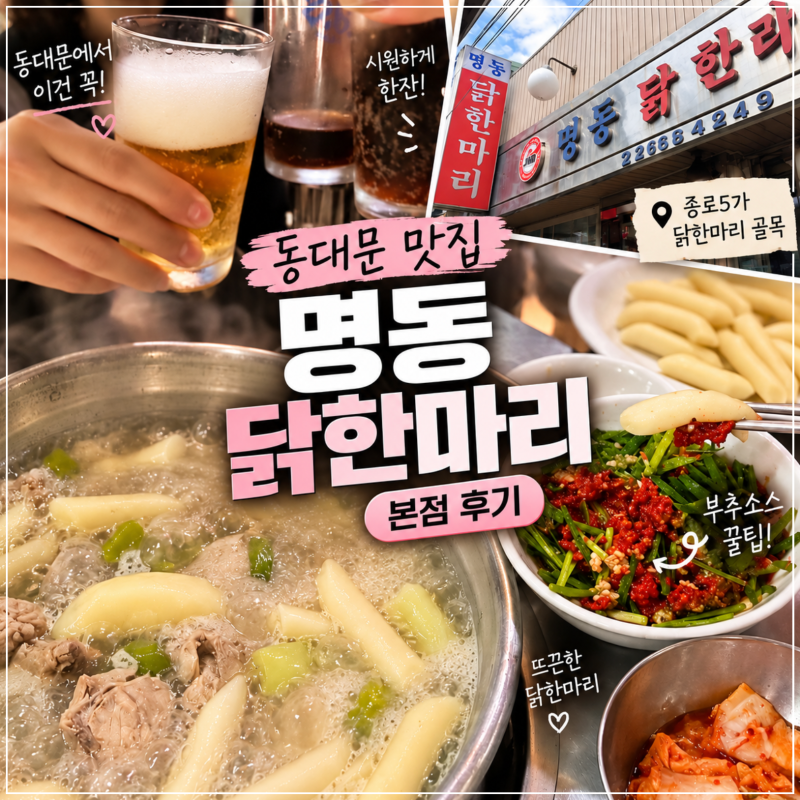 동대문 닭한마리 맛집 명동닭한마리 본점｜종로5가 닭한마리 골목 후기