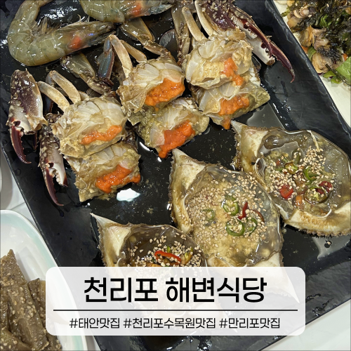 태안맛집｜게국지, 간장게장 맛있는 천리포 해변식당(애견동반 가능)