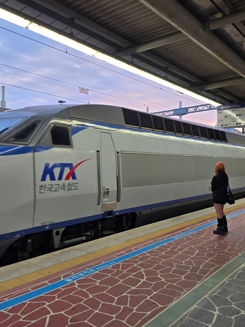 국내 기차여행 KTX 특실 일반실 차이는 뭘까?