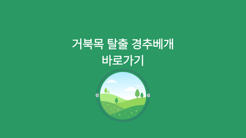 거북목 탈출 메모리폼베개 추천! 경추베게 경추배게 메모리폼베개세탁 후 편안한 숙면 솔루....
