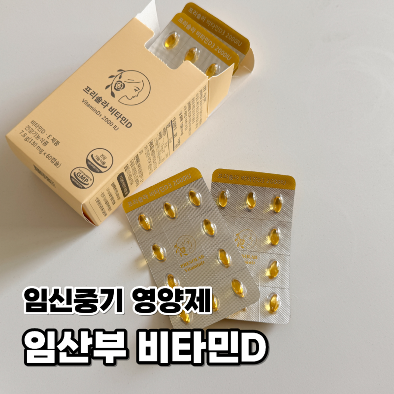 임산부 비타민D 임신중기에 챙기는 프리솔라 영양제 권장량