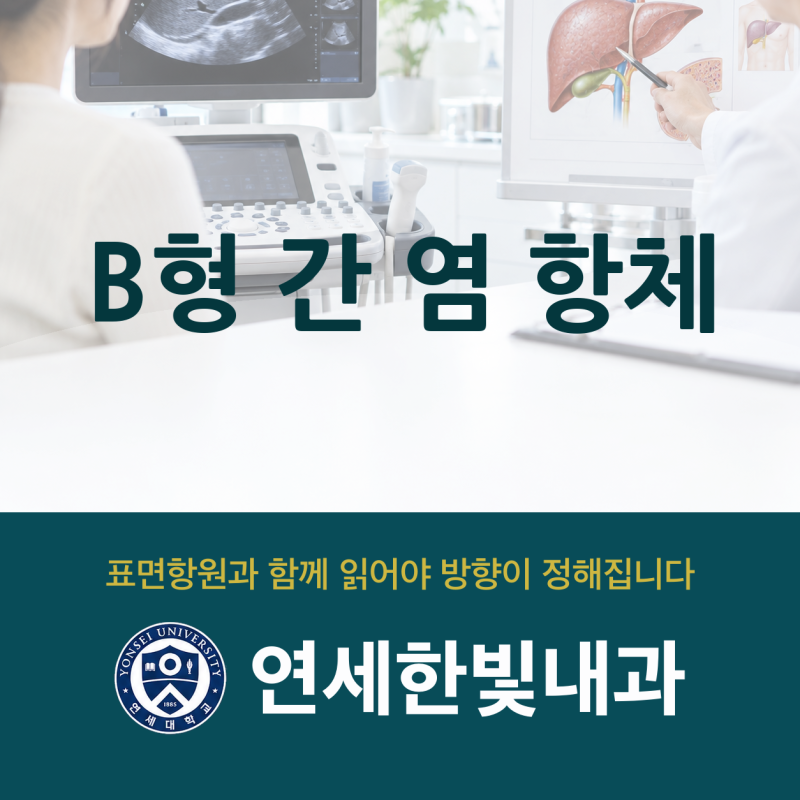둔산동 내과, B형 간염 항체 없다고 나왔을 때 확인하는 순서
